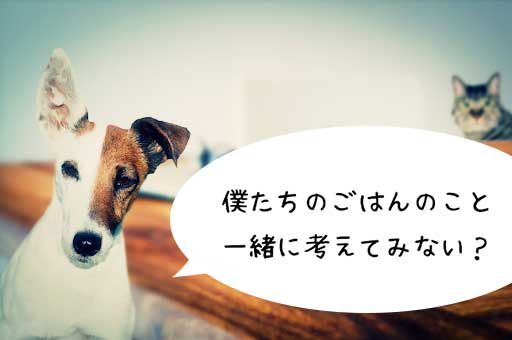 犬　猫